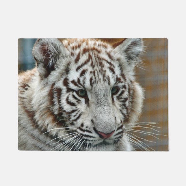 Tapete Tigre20151001 (Frente)