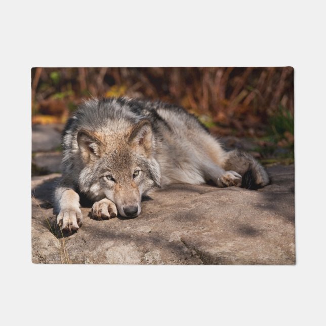 Tapete Timber Wolf (Frente)