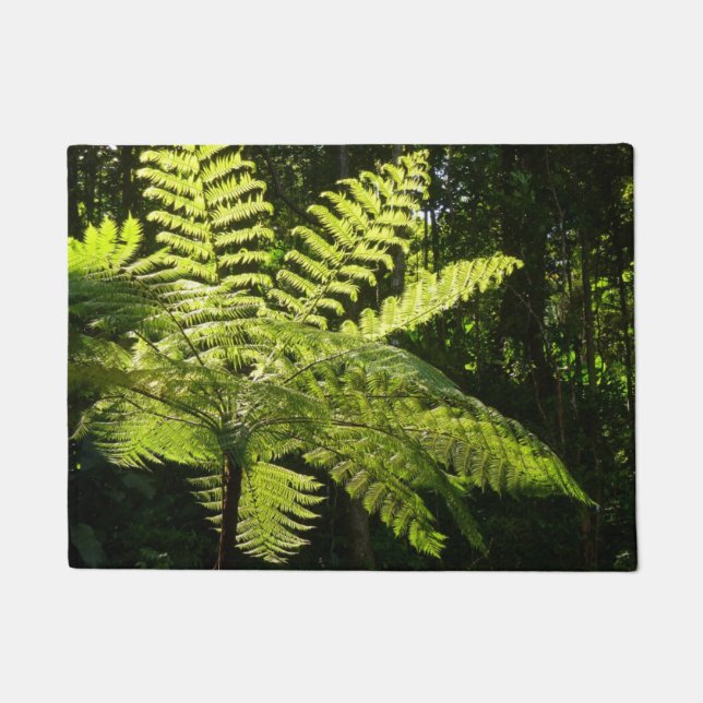 Tapete Tree Fern na Floresta Tropical (Frente)