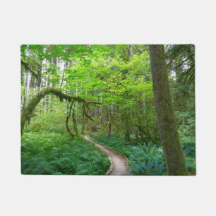 Tapete Trilha Ancient Groves no Parque Nacional Olympic