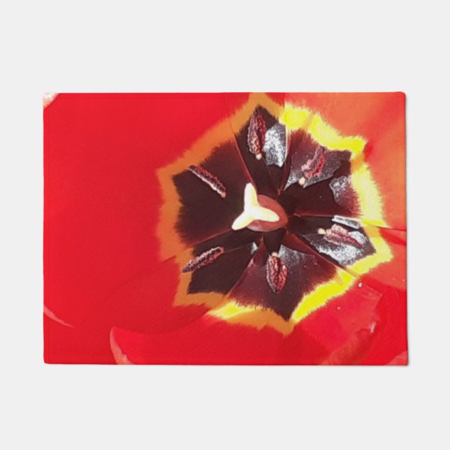 Tapete Tulipa Vermelha Escarlate (Frente)