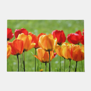 Tapete Tulipas Amarelas E Vermelhas