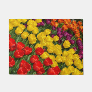 Tapete Tulipas coloridas do primavera