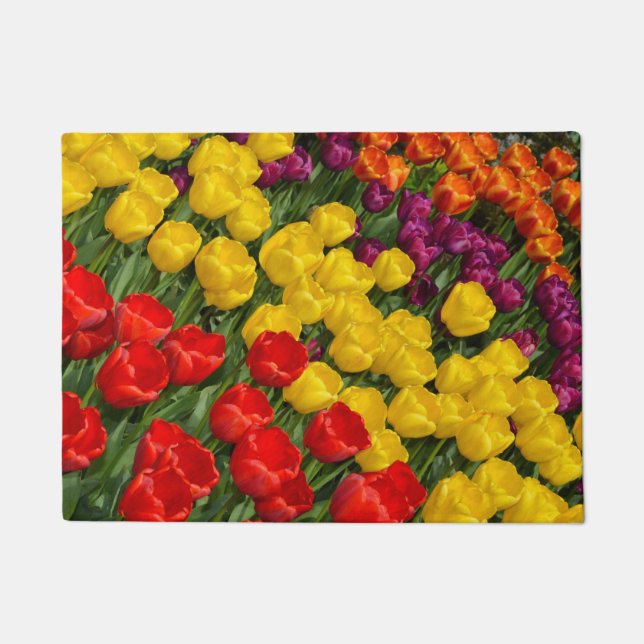 Tapete Tulipas coloridas do primavera (Frente)