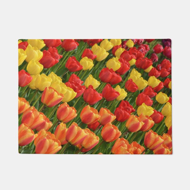 Tapete Tulipas coloridas do primavera (Frente)