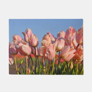 Tapete Tulipas cor-de-rosa do primavera