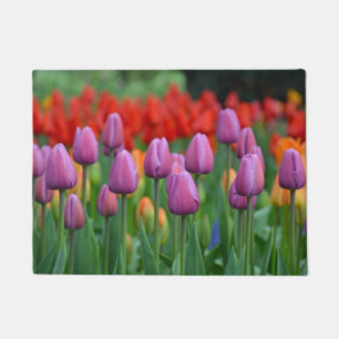 Tapete Tulipas de primavera púrpura