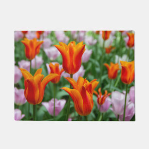 Tapete Tulipas laranja-claras no parque