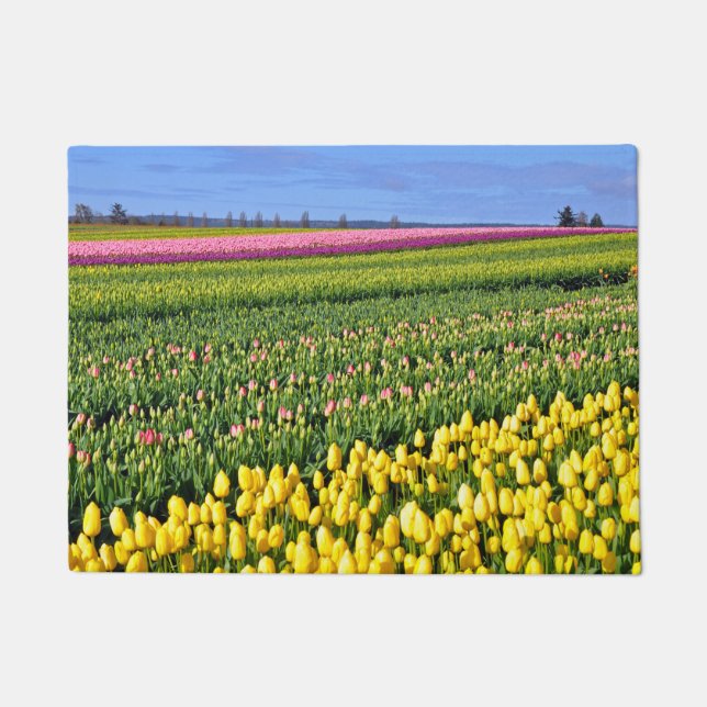 Tapete Tulipas primavera coloridas (Frente)