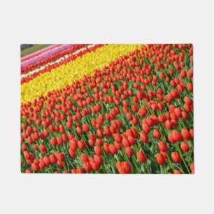 Tapete Tulipas primavera coloridas