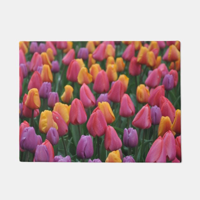 Tapete Tulipas primavera coloridas (Frente)