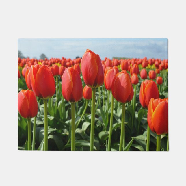 Tapete Tulipas primavera vermelhas (Frente)