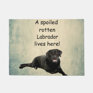 Tapete Um Labrador Rotten mimado mora aqui