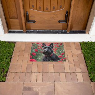 Tapete "Uma Rosa vermelha para o Black Scottish Terrier"