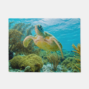 Tapete Uma tartaruga verde nos recifes rasos de Bonaire