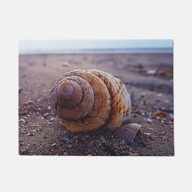 Tapete Uma vista macro de Shell espiral (Frente)