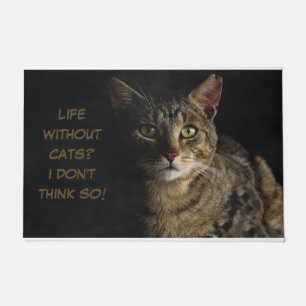 Tapete Vida sem gatos? Acho que não! Costumar engraçado