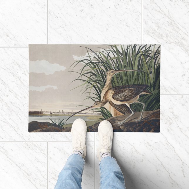 Tapete Vintage Audubon Long-billed Curlew Bird Art (Interior)