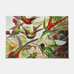 Tapete Vintage Hummingbird por Ernst Haeckel