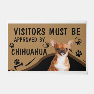Tapete Visitante Deve Ser Aprovado Por Springer Chihuahua