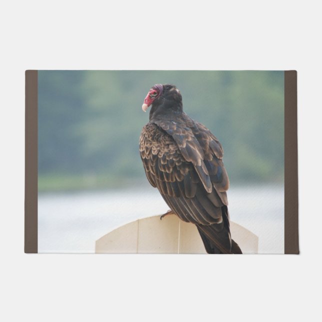 Tapete Wildlife Turkey Buzzard (Frente)