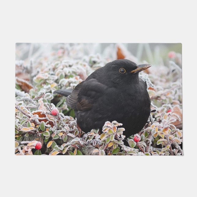 Tapete Winter Blackbird (Frente)