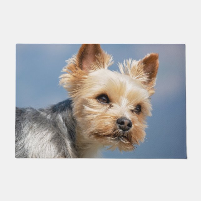 Tapete Yorkshire Terrier (Frente)