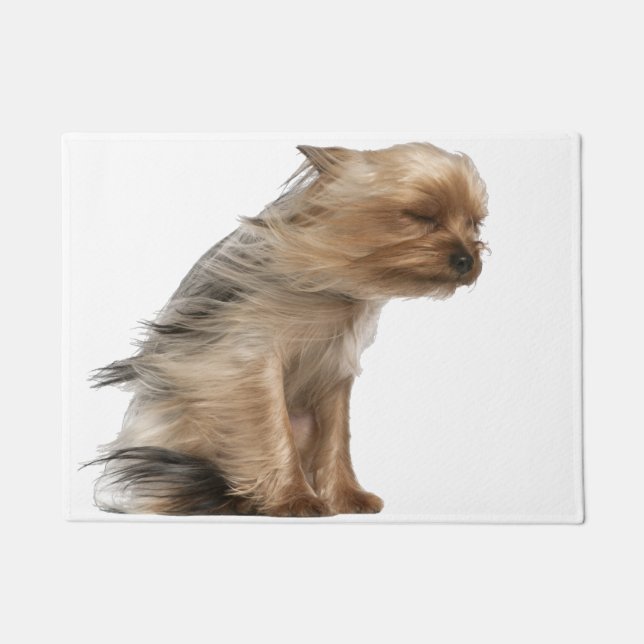 Tapete Yorkshire Terrier com cabelo no vento (Frente)