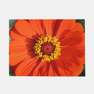 Tapete Zinnia laranja