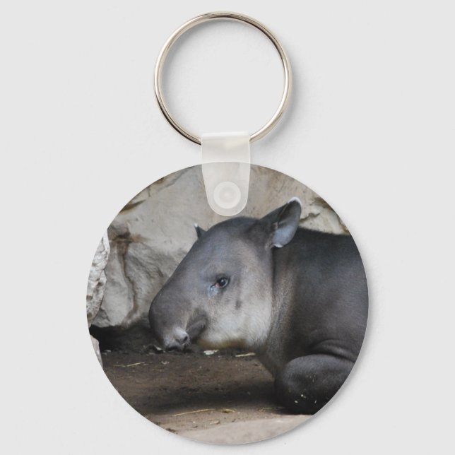Tapir Chaveiro (Frente)
