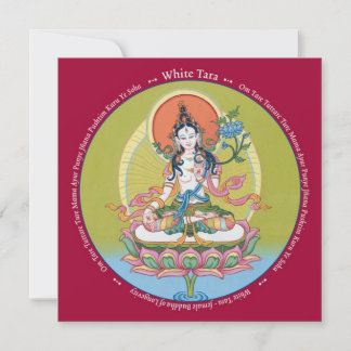 Tara branca da PLACA - com envelope