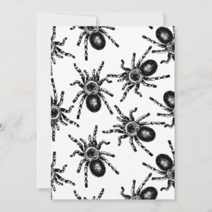 Tarantula