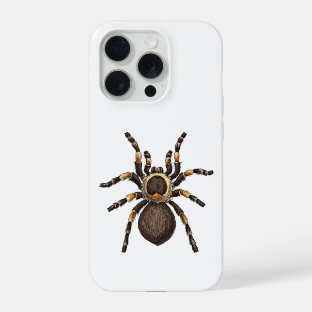 Tarantula (Verso)