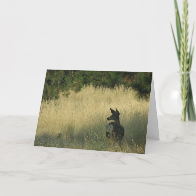 Tarde Mulie, cartão pela marca Easton (Frente)