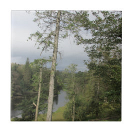 Tarn Hows Trees Azulejo Cerâmico