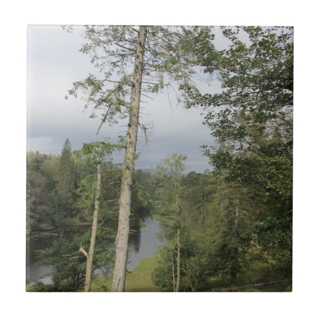 Tarn Hows Trees Azulejo Cerâmico (Frente)