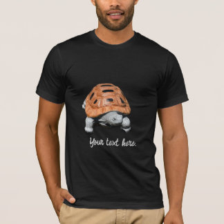 Tartaruga Caixa Pintada, Camisetas Personalizadas