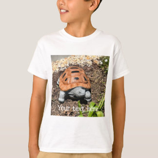Tartaruga caixa pintada, no jardim, camisetas pers