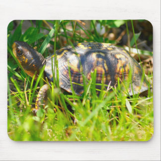 Tartaruga de caixa Mousepad