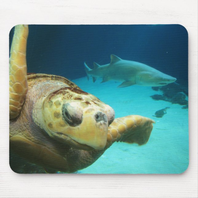 Tartaruga de mar e tubarão Mousepad (Frente)
