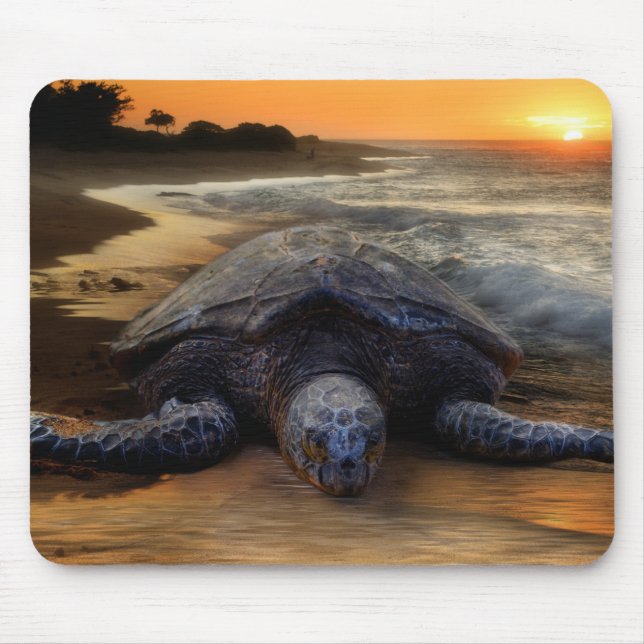 Tartaruga de mar Mousepad (Frente)