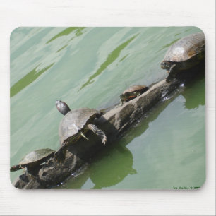 Tartaruga direita Mousepad