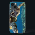 Tartaruga do Mar Verde Havaiana<br><div class="desc">Uma tartaruga marinha havaiana investiga seu reflexo no meu porto de domo. © e ® Bigstock® - Todos os direitos reservados.</div>