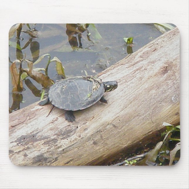 Tartaruga pintada bebê Mousepad (Frente)