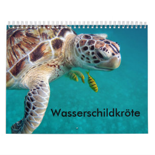 tartarugas de água de calendário