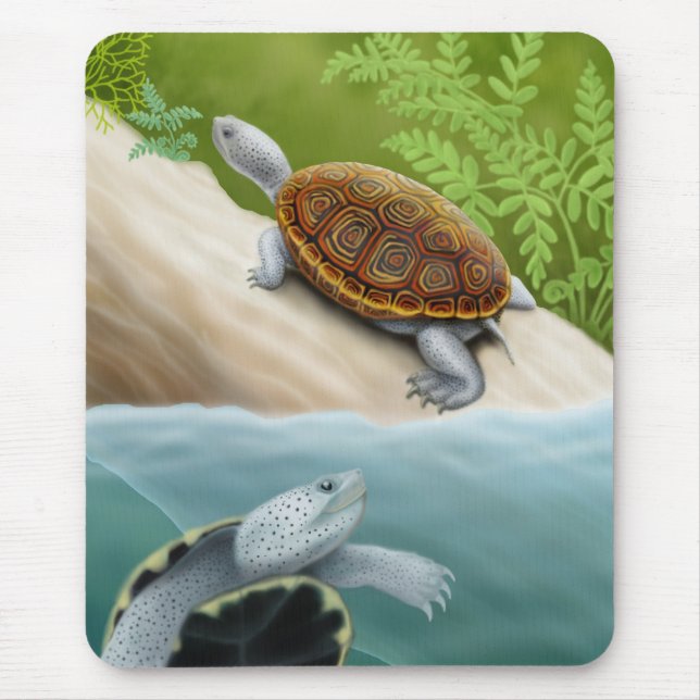 Tartarugas Mousepad da tartaruga de água doce de (Frente)
