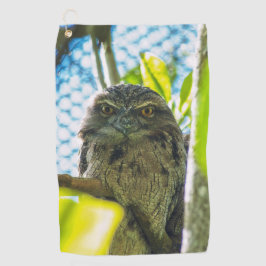 Tawny não é coruja