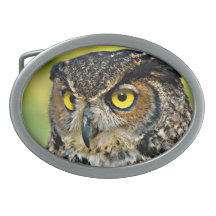 TCWC - Grande coruja Horned