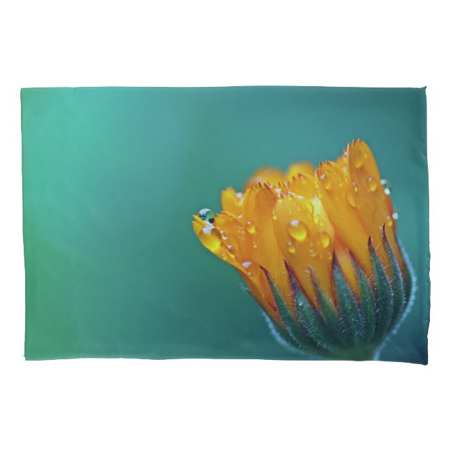 Teal Marigold Floral (Frente)