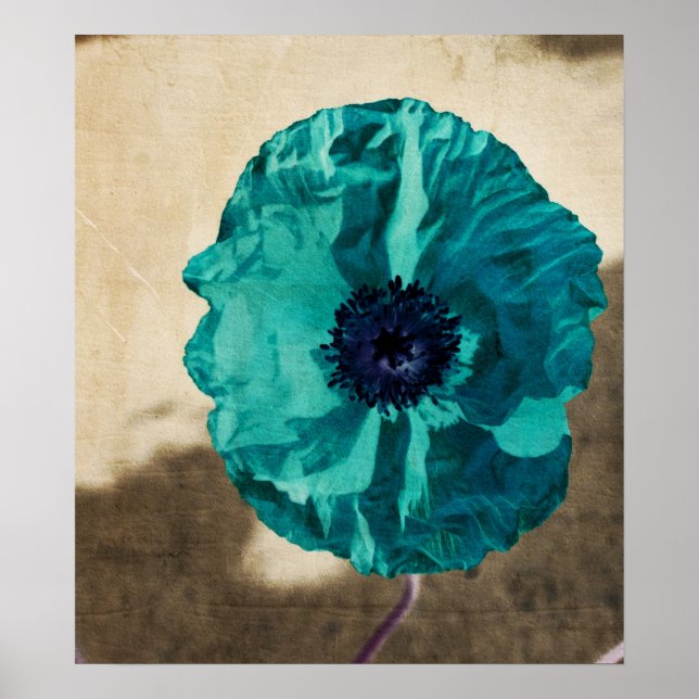 Teal Poppy Poster (Frente)